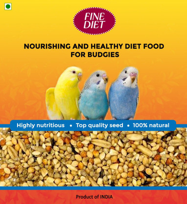 budgie bird diet