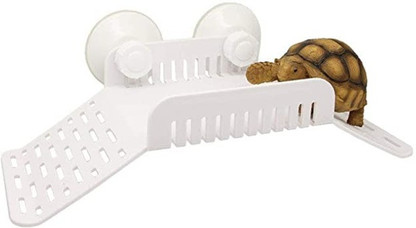 turtle aquarium stand