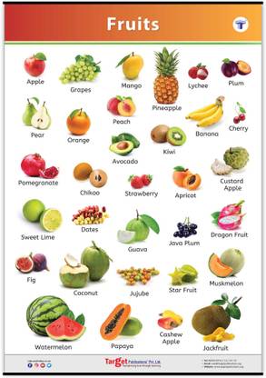 Target Publications Jumbo All In One Fruits Chart For Kids Perfect Early Learning Educational Chart For Homeschooling Kindergarten And Nursery Children 39 25 X 27 25 Inch Price In India Buy
