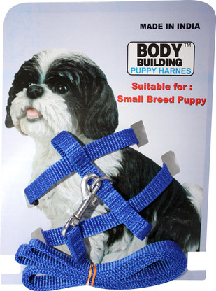 leash for small puppy