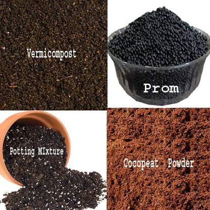Prmaan Gardening Manure Set Homemade Vermicompost Potting Mixture Cocopeat Powder Prom Phosphate Rich Organic Manure Gardening Fertilizer Use Fertilizer Price In India Buy Prmaan Gardening Manure Set Homemade Vermicompost Potting Mixture Cocopeat
