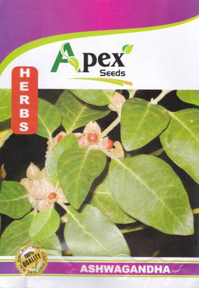 Advance Ashwagandha Winter Cherry Indian Ginseng Seed Price In India Buy Advance Ashwagandha Winter Cherry Indian Ginseng Seed Online At Flipkart Com