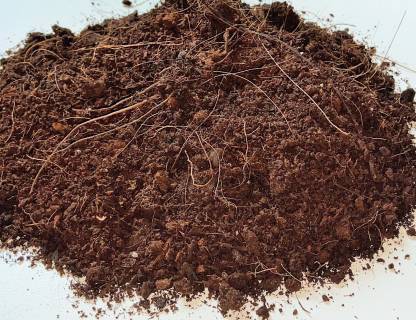 Axonal Organic Potting Soil Mix With Cocopeat Vermicompost Neem Granule Plant Manure 500gm Manure 500gm Powder Manure Price In India Buy Axonal Organic Potting Soil Mix With Cocopeat Vermicompost Neem Granule