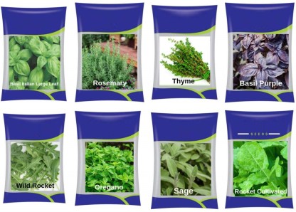 Basil Herb 8 Packs  Herb Seeds Oregano Basil Chive Sage Parsley Thyme Oregano 