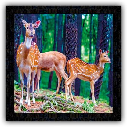 Poster N Frames framed poster of deer 14817 Digital Reprint 14 ...