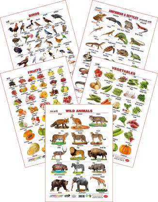 SpectrumChart Spectrum Educational Large Wall Charts (Set of 5) : ( Wild  Animals , Birds , Amphibians & Reptiles , Fruits & Vegetables ) (English &  Marathi Language) Price in India -