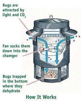 SK Creation Green Mosquito Electric Insect Killer (Lantern) Electric Insect Killer