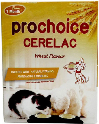 cerelac for kittens