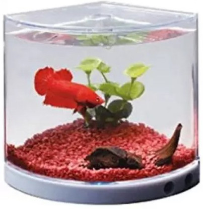 fish tank online
