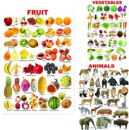 voorkoms 12 cm Vegetables Fruit Animals Early Learning Educational For Children Combo Wall Sticker Removable Sticker Price in India - Buy voorkoms 12 cm Vegetables Fruit Animals Early Learning Educational For Children voorkoms 12 cm Vegetables Fruit Animals Early Learning Educational For Children Combo Wall Sticker Removable Sticker Price in India - Buy voorkoms 12 cm Vegetables Fruit Animals Early Learning Educational For Children