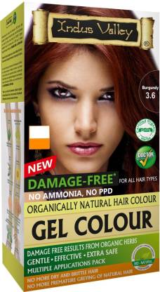 Indus Valley Organically Natural Hair Color No Ammonia Gel Hair Color  Burgundy  , Burgundy  - Price in India, Buy Indus Valley Organically  Natural Hair Color No Ammonia Gel Hair Color