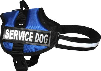 Body Building Dog Belt Blue Service Dog Harness Belt Chest Body Belt Padded Adjustable 70 100 Cm Dog Standard Harness Price In India Buy Body Building Dog Belt Blue Service Dog Harness