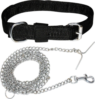 dog belt and chain