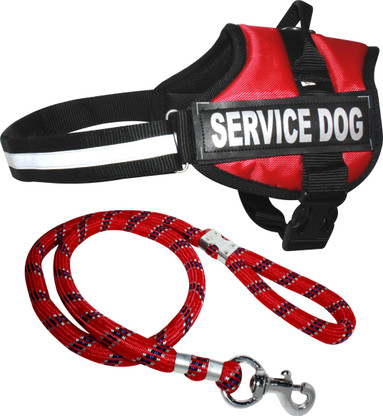 service dog lead
