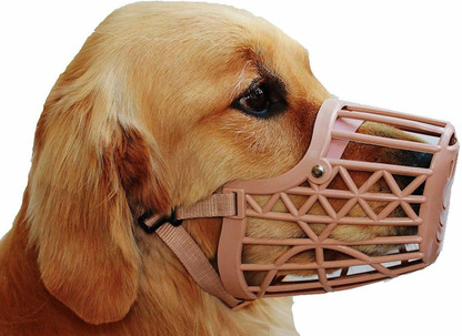 buy dog muzzle