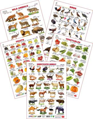 Spectrum Set of 5 Educational Large Wall Charts : ( Wild Animals , Birds ,  Fruits , Vegetables & Domestic Animals ) Price in India - Buy Spectrum Set  of 5 Educational