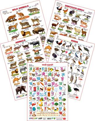 Spectrum Set of 5 Educational Large Wall Charts : ( Wild Animals , Domestic Animals , Animals , Birds & Marathi Mulakshare ) Price in India - Buy Spectrum Set of 5 Spectrum Set of 5 Educational Large Wall Charts : ( Wild Animals , Domestic Animals , Animals , Birds & Marathi Mulakshare ) Price in India - Buy Spectrum Set of 5