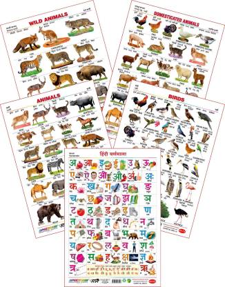 Spectrum Set of 5 Educational Large Wall Charts : ( Wild Animals , Domestic  Animals , Animals , Birds & Hindi Varnamala ) Price in India - Buy Spectrum  Set of 5