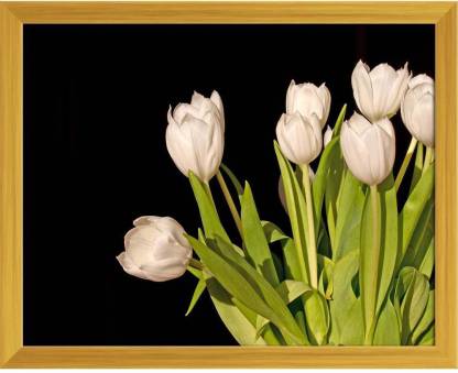 Artzfolio Bunch Of White Tulips Isolated On Black Background Canvas Painting  Golden Synthetic Frame 15inch x 12inch ( x ) Digital Reprint  12 inch x 15 inch Painting Price in India -