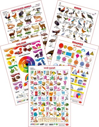 Paper Chart Paper Spectrum Laminated Educational Pre-School Kids Domestic Animals  Name Wall Chart 