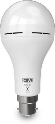 gm inverter bulb