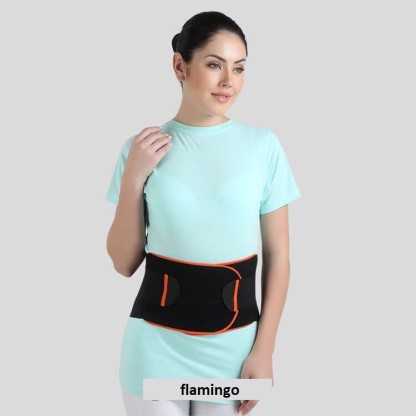 flamingo belt for back pain