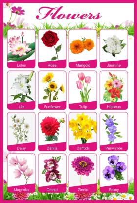Flowers Educational Charts for Kids Home and School | Flower name Chart ...