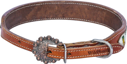 embellished dog collars