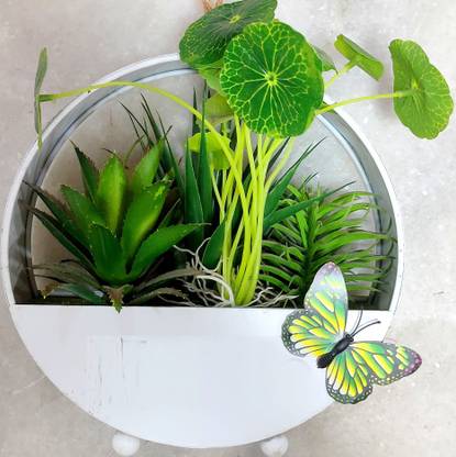 Bloom Artificial Plants In Hanging Round Pot With Magnetic Butterfly White Dahalia Wild Flower Bird Of Paradise Marigold Gerbera Artificial Flower With Pot Price In India Buy Bloom Artificial Plants In