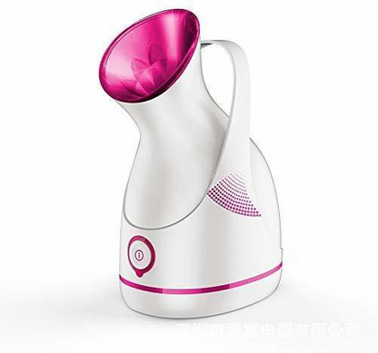 flipkart steamer price