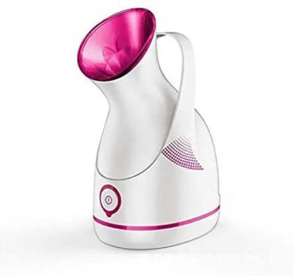 steamer price flipkart