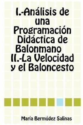 Analisis De Una Programacion Didactica De Balonmano La Velocidad Y El Baloncesto