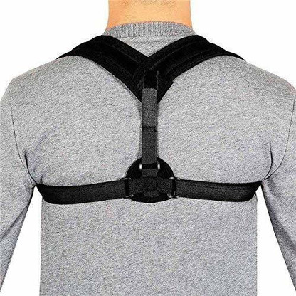body wellness posture