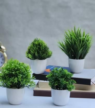 Litleo Set of 4 All Green Different For Home Office Or Decoration Bonsai Wild Artificial Plant with Pot  (15 cm, Green)