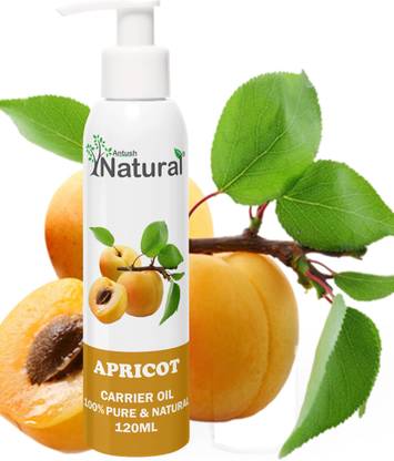 Antush Natural Apricot Oil Apricot Kernel Oil For Skin Hair 120 Ml Price In India Buy Antush Natural Apricot Oil Apricot Kernel Oil For Skin Hair 120 Ml Online
