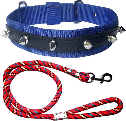 Buy dog collar Clearance