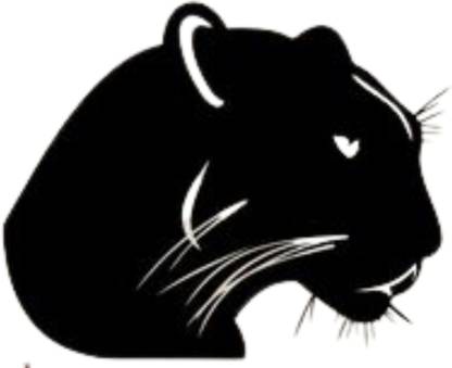 Sahaj Décor 48 cm Angry Black Panther Magnetic Sticker Price in India - Buy  Sahaj Décor 48 cm Angry Black Panther Magnetic Sticker online at  