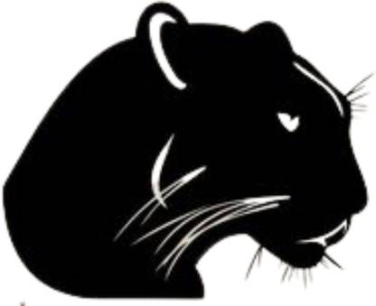 Sahaj Décor 48 cm Angry Black Panther Magnetic Sticker Price in India - Buy Sahaj Décor 48 cm Angry Black Panther Magnetic Sticker online at Sahaj Décor 48 cm Angry Black Panther Magnetic Sticker Price in India - Buy Sahaj Décor 48 cm Angry Black Panther Magnetic Sticker online at