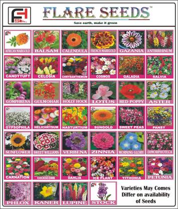 Extraordinary Winter Flower Seeds Cash On Delivery Tips