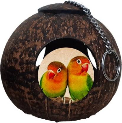 Extra 80/% OFF Pet Magasin Hand Made Bird Toys Interactive Large Coconut Shell for Birds of All Kinds