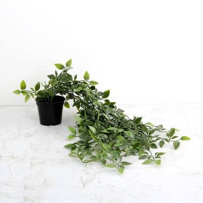 Artificial Hanging Plants India