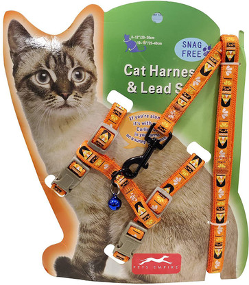 orange cat harness