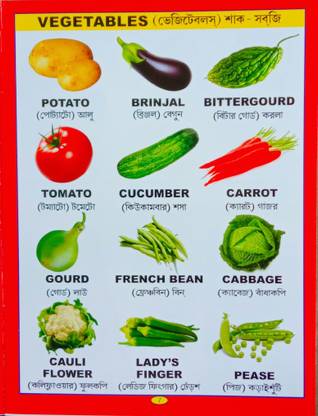 All In Five Flowers Vegetables Fruit Animals Birds: Buy All In Five Flowers Vegetables Fruit Animals Birds by Editorial Team at Low Price in India All In Five Flowers Vegetables Fruit Animals Birds: Buy All In Five Flowers Vegetables Fruit Animals Birds by Editorial Team at Low Price in India
