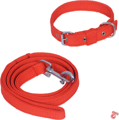 replacing the timing belt