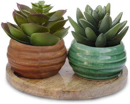 Lasaki Ceramic Pots With Wooden Round Stand For Indoor Plants Planters Flower Pots Gamla Succulent Pot Combo Pack Color Green Lt 406 Antique Plate Wp10 Plant Container Set Price In