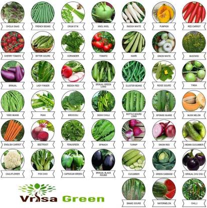 Vrisa Green Vegetable Combo 45 Varieties Seed