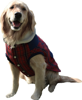Dog winter clothes flipkart