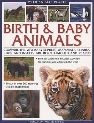 Wild Animal Planet: Birth and Baby Animals*** Out of Stock: Buy Wild Animal Planet: Birth and Baby Animals*** Out of Stock by Chinery Michael at Low Price in India Wild Animal Planet: Birth and Baby Animals*** Out of Stock: Buy Wild Animal Planet: Birth and Baby Animals*** Out of Stock by Chinery Michael at Low Price in India