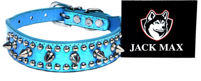 max dog collar