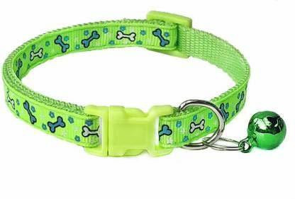 buddy pet collar